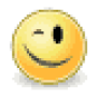 face-wink-40x40.png
